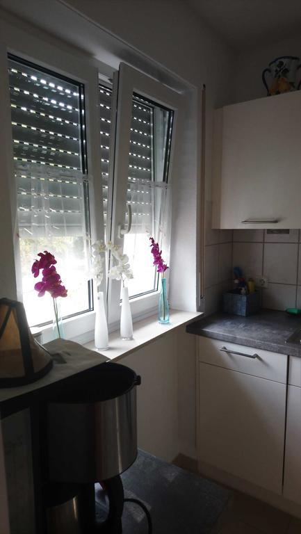 Appartement Evelyn Klaeger à Fribourg im Breisgau Extérieur photo